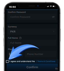 Checkbox ticked next to 'I agree and understand the Terms & Conditions'